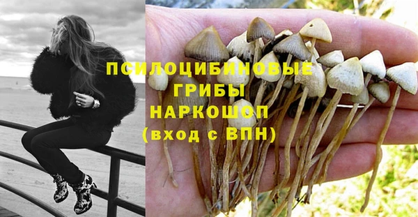 не бодяженный Алзамай