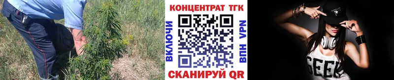Дистиллят ТГК THC oil  магазин продажи наркотиков  Дмитриев 