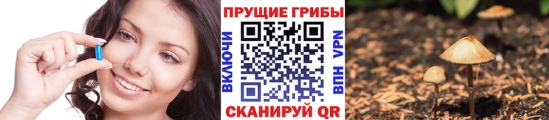 купить Дмитриев Псилоцибиновые грибы MAGIC MUSHROOMS
