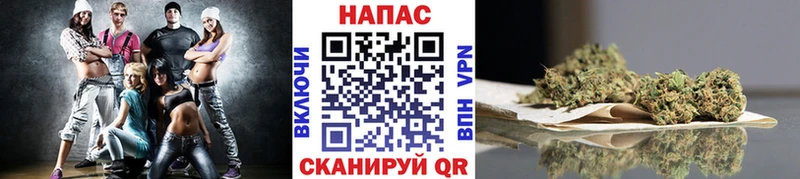 Бошки марихуана ГИДРОПОН  Дмитриев 